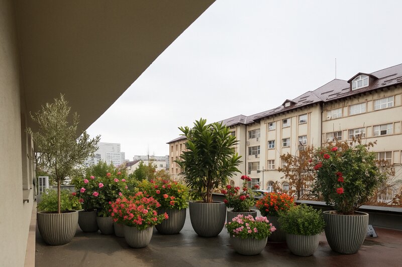 Dorobanti, investitie imobiliara premium, etaj 2, decomandat.